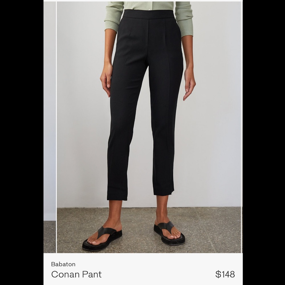 Aritzia Babaton Cohen Pant